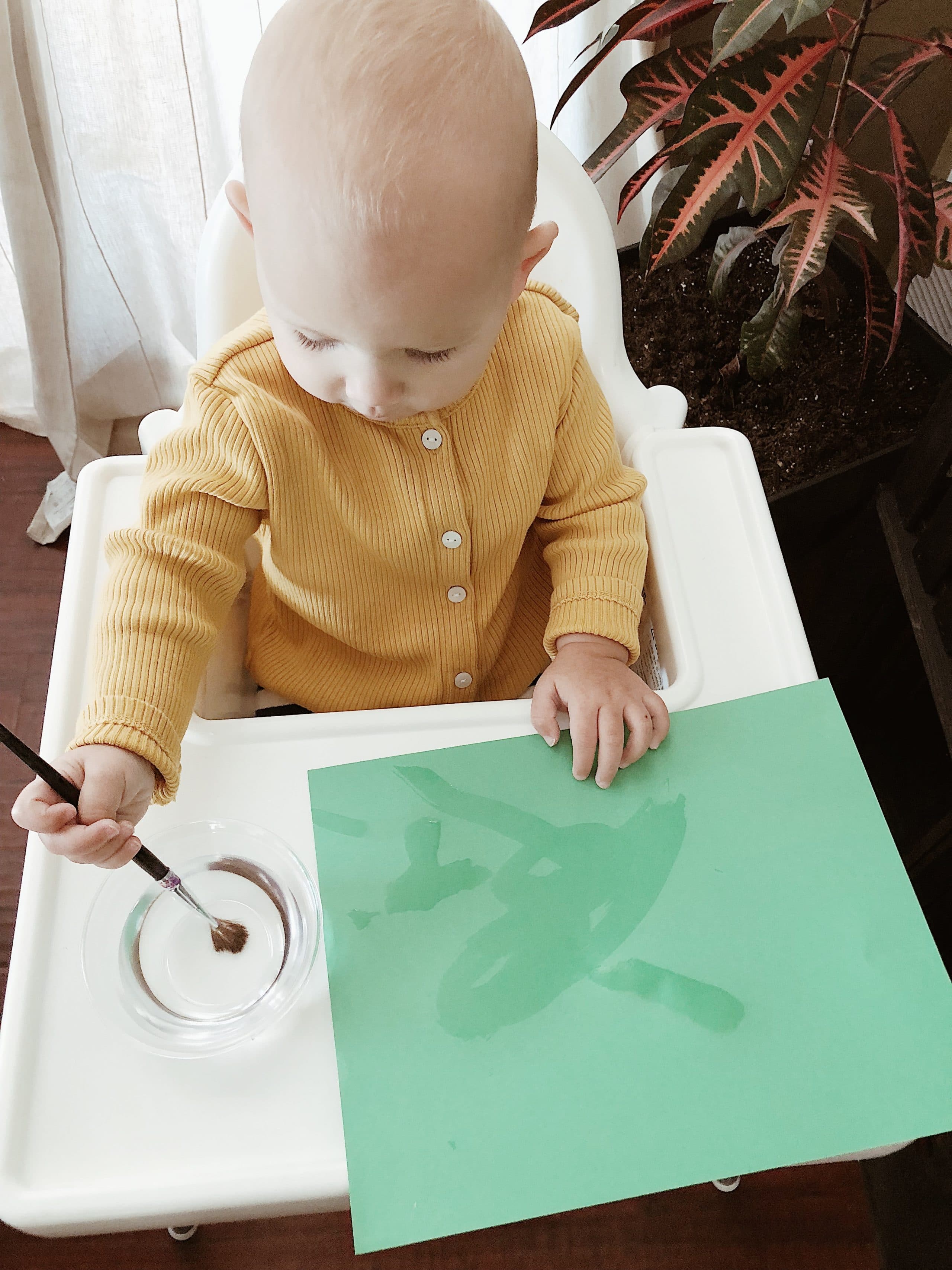 Painting with Water Activity